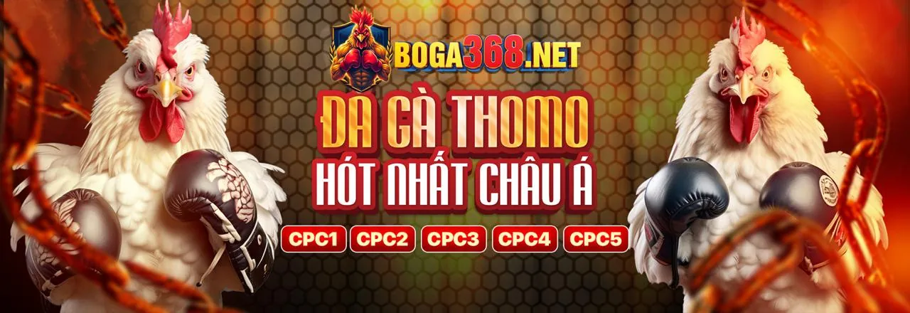 Đá Gà Trực Tuyến 9bet 2026